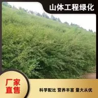 山东陈晨生物科技有限公司