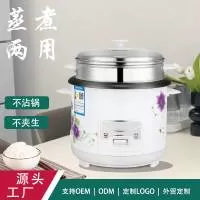 廉江市胜鑫电器厂