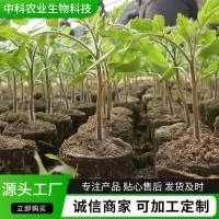 中科农业生物科技（山东）有限公司