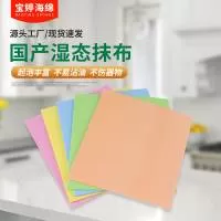 大丰区宝婷海绵制品厂(个体工商户)