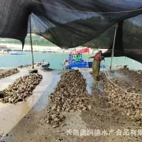 长岛奥润德水产食品有限公司