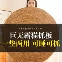 河南宠业家工贸有限公司