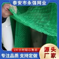 泰安市永强网业有限公司