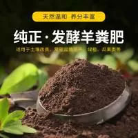 徐州萌萌肉园艺有限公司