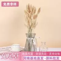 河南致智花卉有限公司