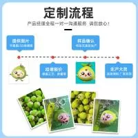 义乌市盛立工艺品有限公司