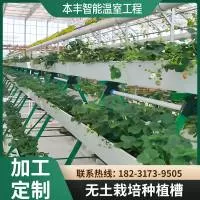 本丰智能温室工程河北有限公司