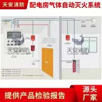 天安消防安全技术（广东）有限公司