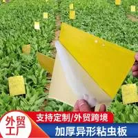 山东林雨农业科技有限公司