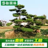 岱松园林工程有限公司