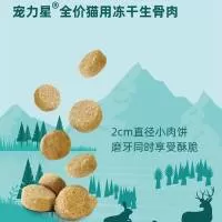 大连奥邦工业有限公司