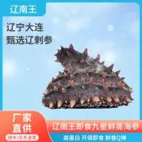 大连辽王生物科技有限公司