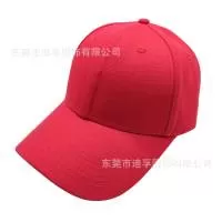 东莞市迪孚服饰有限公司