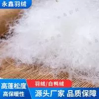 徐水区永鑫羽绒加工厂